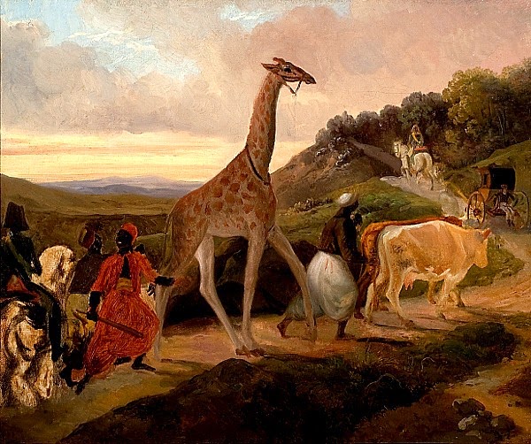 Giraffe_Crossing_(1827)_by_Jacques_Raymond_Brascassat.jpg