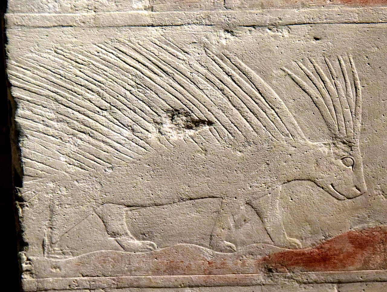 Relief_of_porcupine_in_an_Egyptian_desert,_detail_of_a_wall_fragment_from_the_grave_of_Penhenuka_at_Saqqara,_Egypt,_Old_Kingdom,_5th_Dynasty,_c._2500_BCE._Neues_Museum.jpg