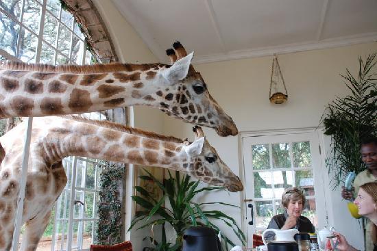 breakfast-anyone.jpg